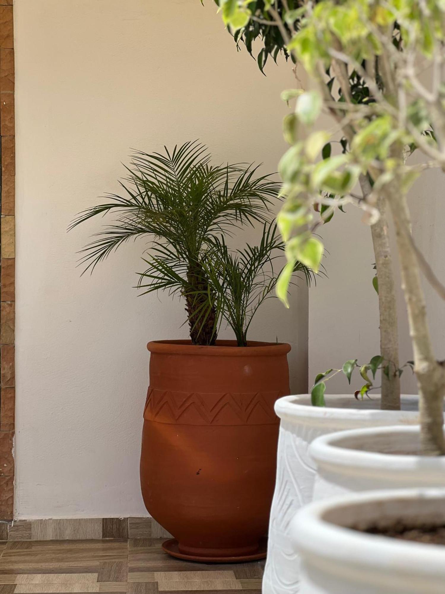 Riad Safia Rabat Dış mekan fotoğraf